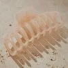 Peppermayo - A New Perspective Hair Clip - Beige -Accessories Shop 38b9a4d8d47a4615ae463db8c868206a 1024x1024