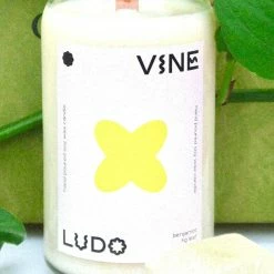 Ludo Home - Signature Jar Candle - Vine -Accessories Shop 800ac36084fe485ba3b6d6658a6081c8 1024x1024