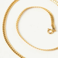 Peppermayo Exclusive - Sedgwick Gold Chain - Gold -Accessories Shop e22c178499754b969bba43044c387e06 1024x1024